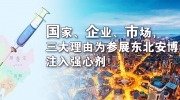 國家、企業、市場，三大理由為參展東北安博會注入強心劑！