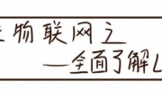 LoRa訪談錄| 這本“中國LoRa產(chǎn)業(yè)市場調(diào)研報告2020版”記錄了LoRa的所有秘密