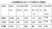2023年上半年|挑戰(zhàn)與機(jī)遇并存 看海康威視、大華股份、千方科技市場發(fā)展如何