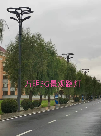 微信圖片_20250303145547.jpg