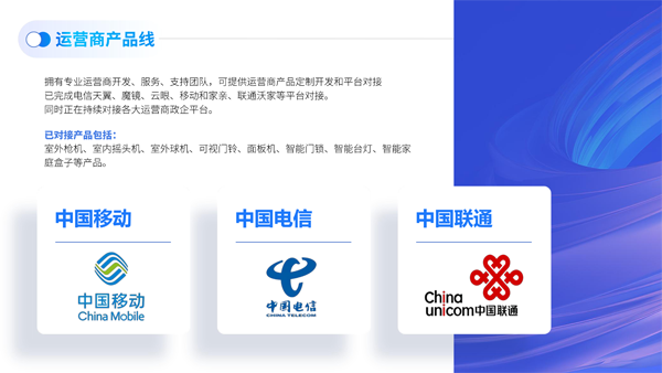 芯睿視科技有限公司介紹2024(1)-28.png
